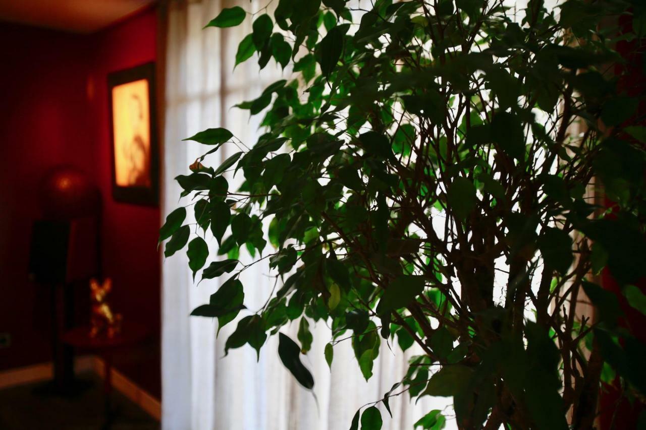 Bed and Breakfast Le Talisman Saint-Germain-en-Laye Exterior foto